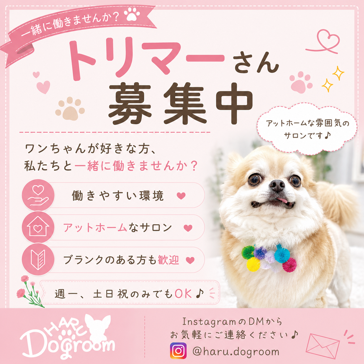 画像の説明